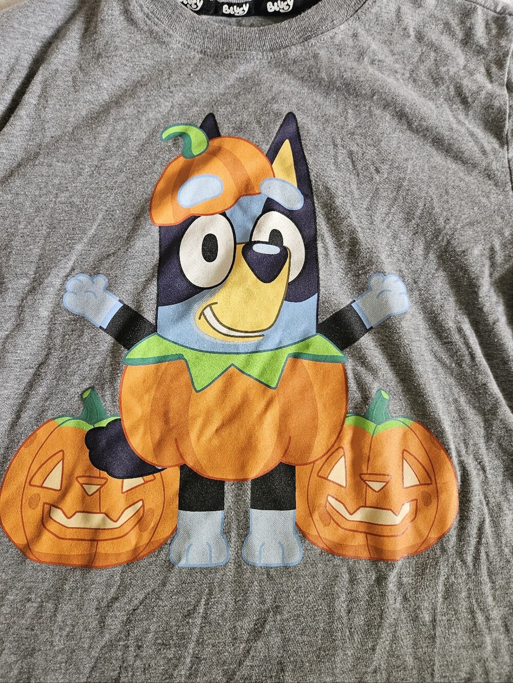 Bluey | Halloween | Shirt | 10/12 | Girls | Pumpkin | Fall | Disney | Like New